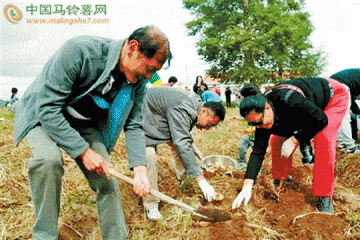 “歡樂土豆節” 土豆新玩法 ()