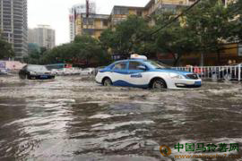 甘肅蘭州迎來今年最強降雨，車如船行