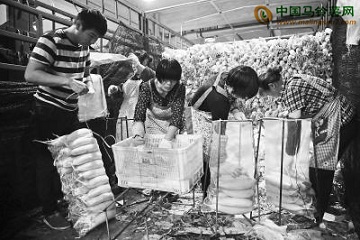南京：農副物流中心保今冬蔬菜供應 ()
