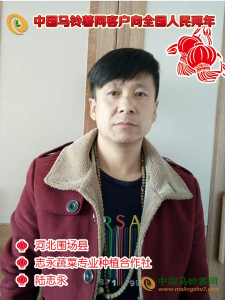 河北圍場縣志永蔬菜專業種植合作社陸志永
