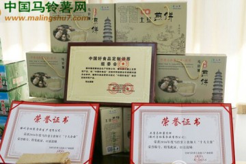 滕州：2017第九屆馬鈴薯節啟動 ()