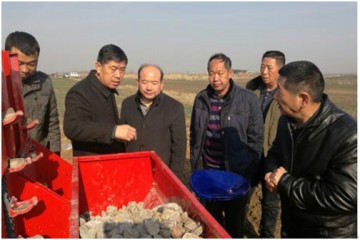 淮南市大力推廣馬鈴薯機(jī)械化種植技術(shù) ()