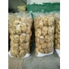 大量供應滕州荷蘭土豆，質優價廉