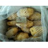 大量出售荷蘭土豆冷庫