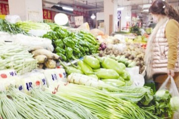 清明節來臨部分菜價上漲 ()