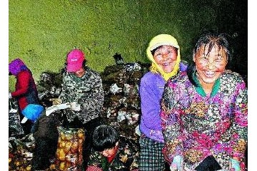 河北圍場：土豆儲藏庫助農增收 ()