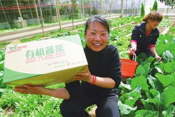 新疆有機蔬菜下月入香港銷售 ()