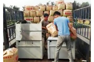 滕州豐榮農業大量供應荷蘭十五土豆