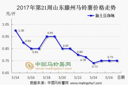 土豆行情持續推進 價格波動不明顯 ()
