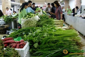 廣西南寧：蔬菜價格穩中走強 ()