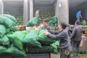 山西太原：批發市場時令蔬菜俏銷 ()