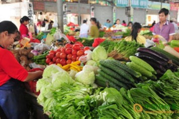 大連市：蔬菜供應充足 價格下調 ()