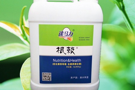 公司熱銷產品 (14)