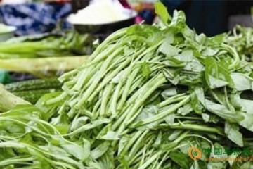 高溫漸退 菜價依然偏硬 ()