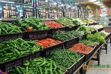 江西省：九月開學季 菜價穩中有漲 ()