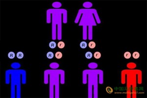 最新發現：朋友間有相同的基因！ ()