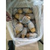 平度瓦子丘冷庫儲存荷蘭十五出售