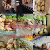 荷蘭十五土豆