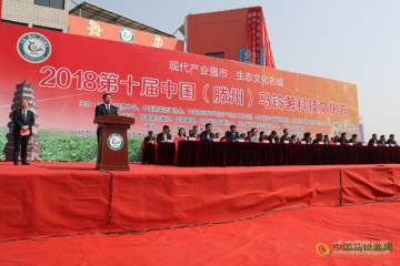 滕州：馬鈴薯科技文化節舉行 ()