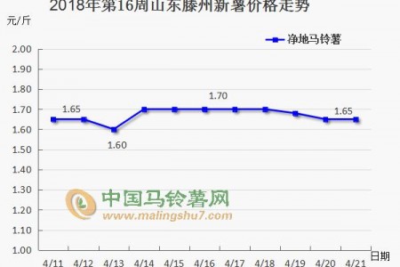 薯市短暫回暖 后期又將如何？ ()