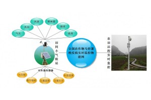 馬鈴薯晚疫病監測預警“黑科技”