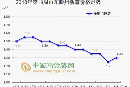 新薯大量上市 薯市能否逆襲？ ()