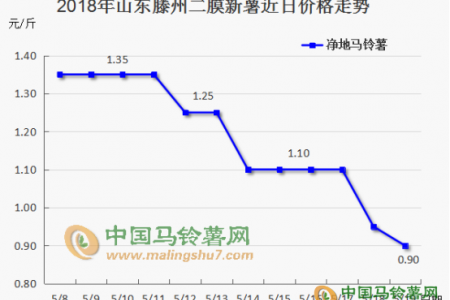 二膜馬鈴薯價格下滑明顯 薯農應當何去何從 ()