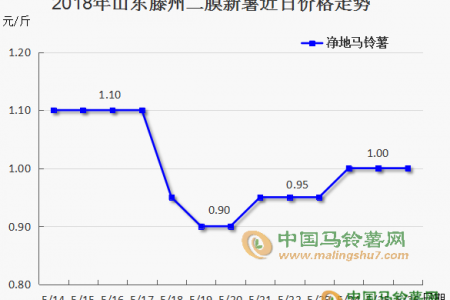 露天薯陸續入市  6月薯市能否安穩？ ()
