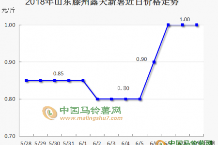 露天薯陸續上市，后市又將如何？ ()