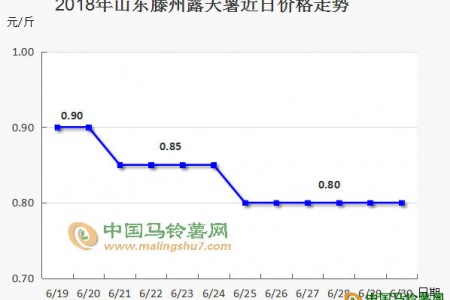 價格跳水后，后期能保持平穩嗎 ()