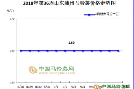 新薯市場為何“低價高銷” ()