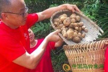 恩施：給土豆插上互聯網翅膀 ()