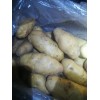 優(yōu)質(zhì)荷蘭十五