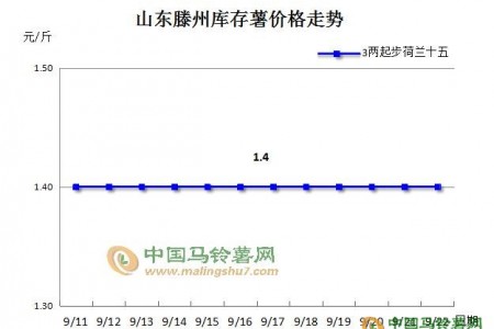 揭秘“產區新薯為何大批量入庫” ()