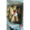 大量供應荷蘭十五優質冷庫土豆