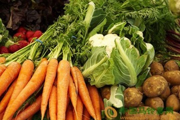 濟南：召開蔬菜育苗技術交流會 ()
