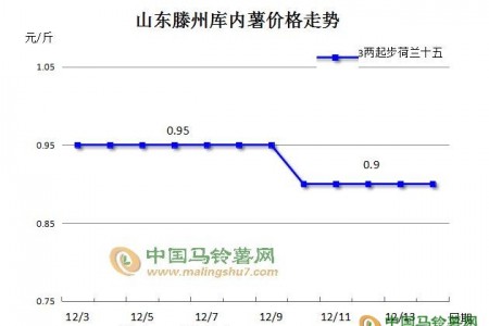 薯市低迷，后市是否可期？ ()