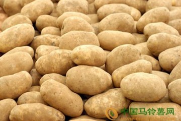 青海：二十余萬畝馬鈴薯創(chuàng)5億產值 ()