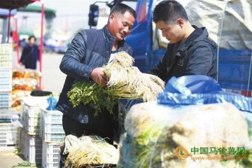 蕪湖：節后菜價高位運行 ()