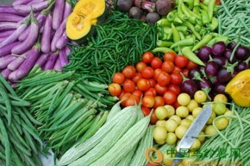 臺州：蔬菜價格平穩運行 ()