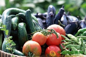 北京：新發地市場部分菜價下降 ()