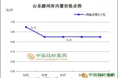 薯市成交清淡 行情持續(xù)偏弱 ()