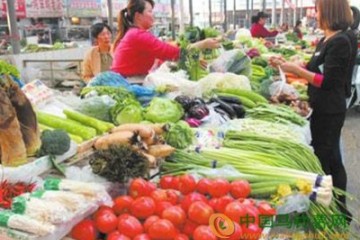 金鄉：部分蔬菜價格上漲 ()