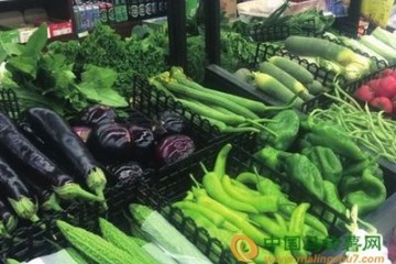 德州：菜價出現季節性降價 ()