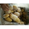 供應肥城冷庫土豆