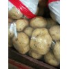 供應大量荷蘭中暑早大白土豆