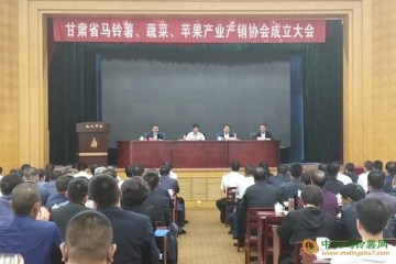 甘肅蘭州成立產銷協會 ()