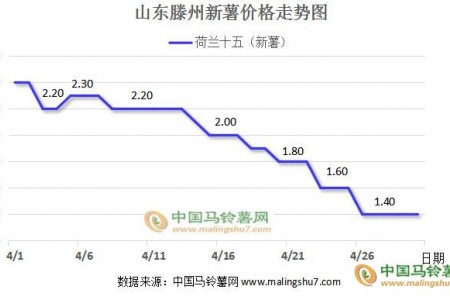 新薯價格高開低走 庫薯交易漸近尾聲 ()