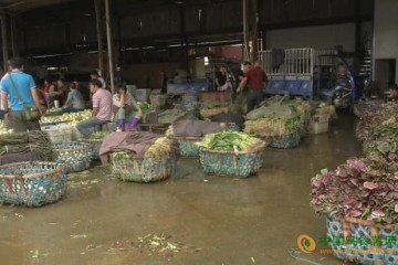 武漢白沙洲菜價遇冷 ()