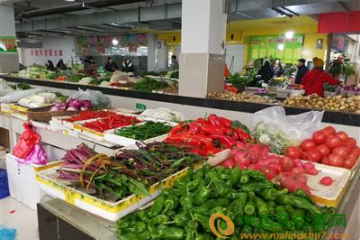 湖南：蔬菜整體價格出現下滑 ()